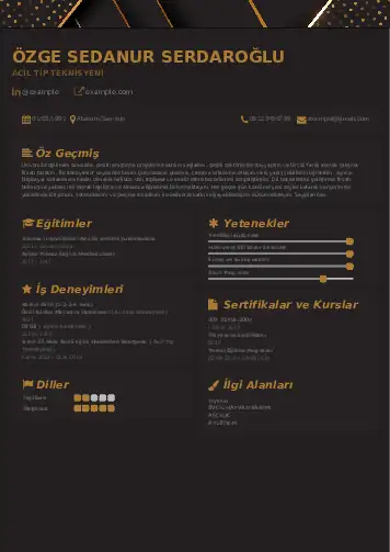 Acil Tıp Teknisyeni CV Örnekleri cv indir